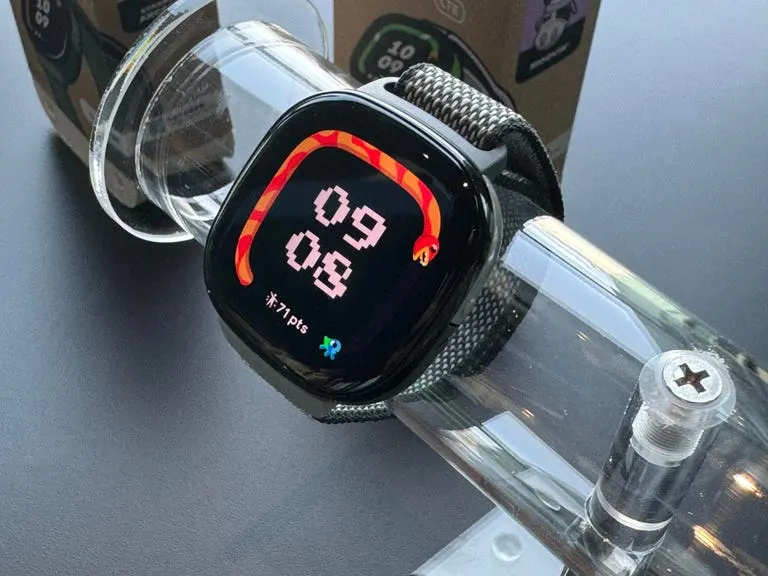 Fitbit Ace LTE, SEO